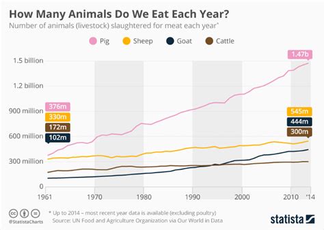 how many animals are tested on each year in china